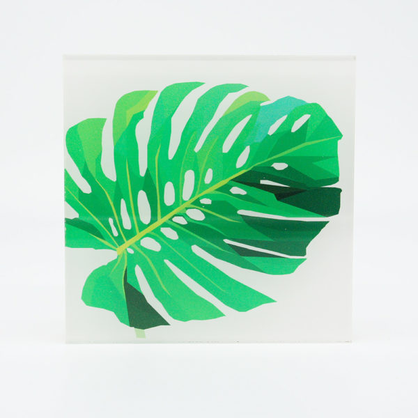 Grafikdesign Bild Monstera Fensterblatt